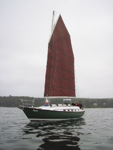 Another angle of the beautiful Teleport with sail hoisted
