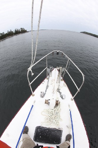 Teleport forges new paths into the unknown of deepest darkest Northwest Arm, Halifax