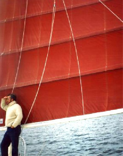 The junk rig sail really is quite a large area!