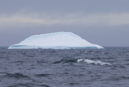 Our first ICEBERG!