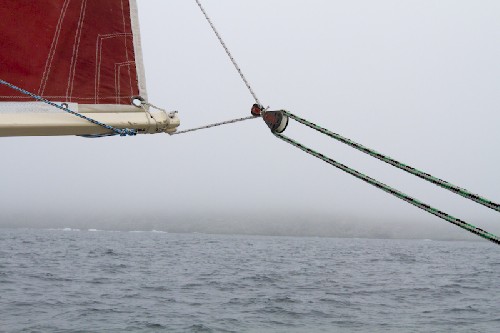 Typical foggy NFLD coastline