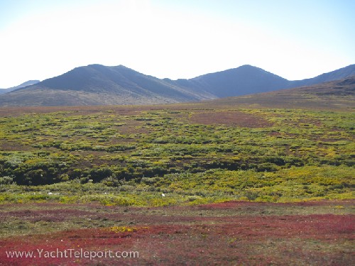 The amazing colours of Fall in Alaska
