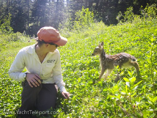 Baby deer that came up to us